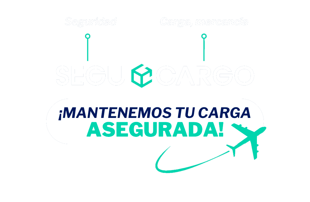 Equipo Segucargo